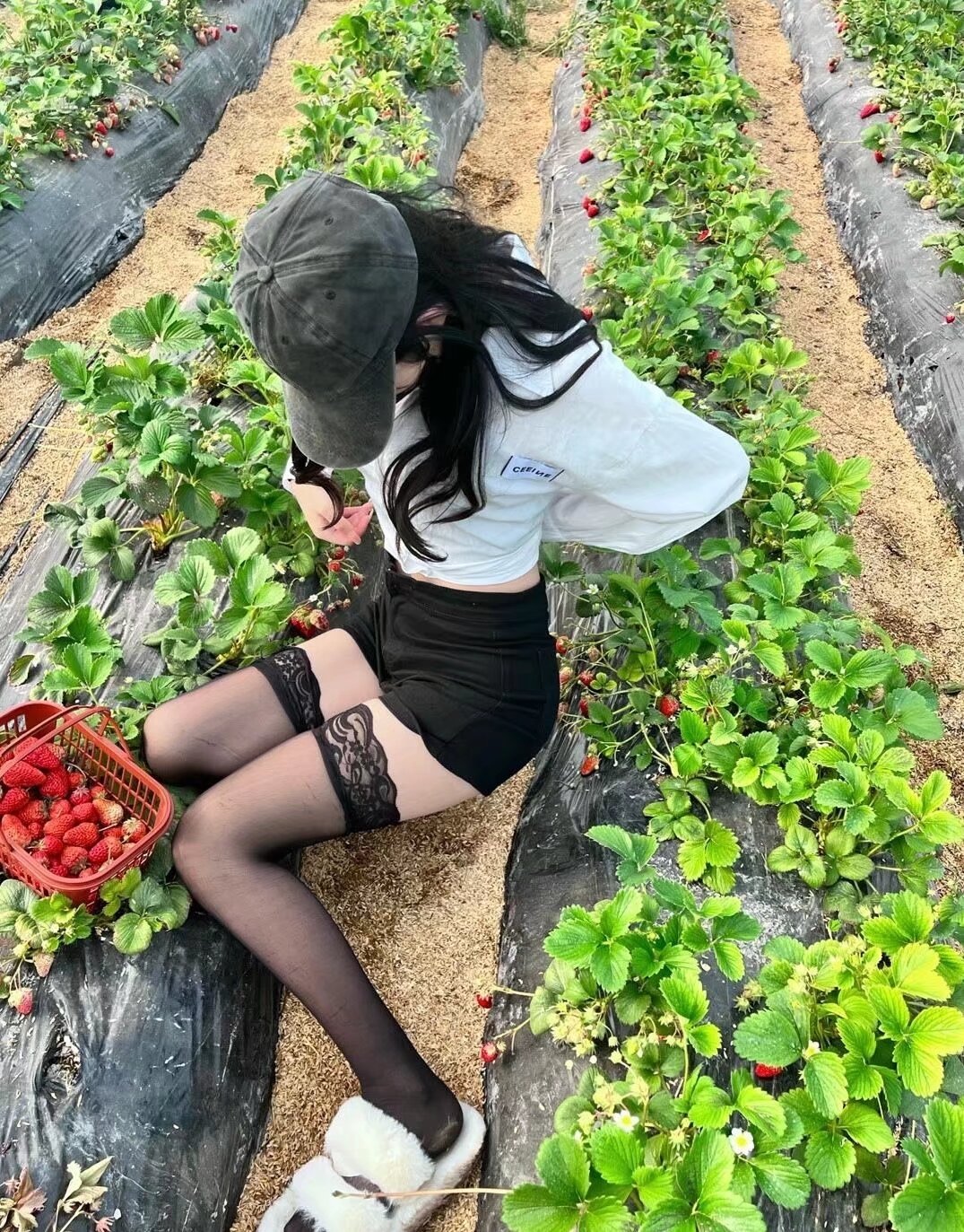 200句让对方看到心疼的句子