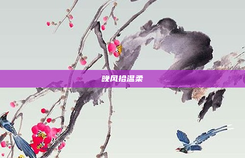 晚风拾温柔