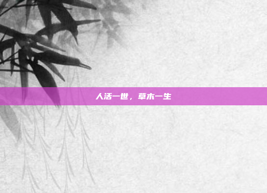 人活一世,草木一生